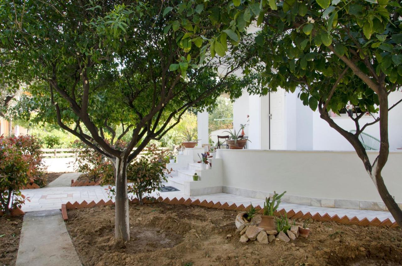 אתונה Garden House Palaio Faliro מראה חיצוני תמונה
