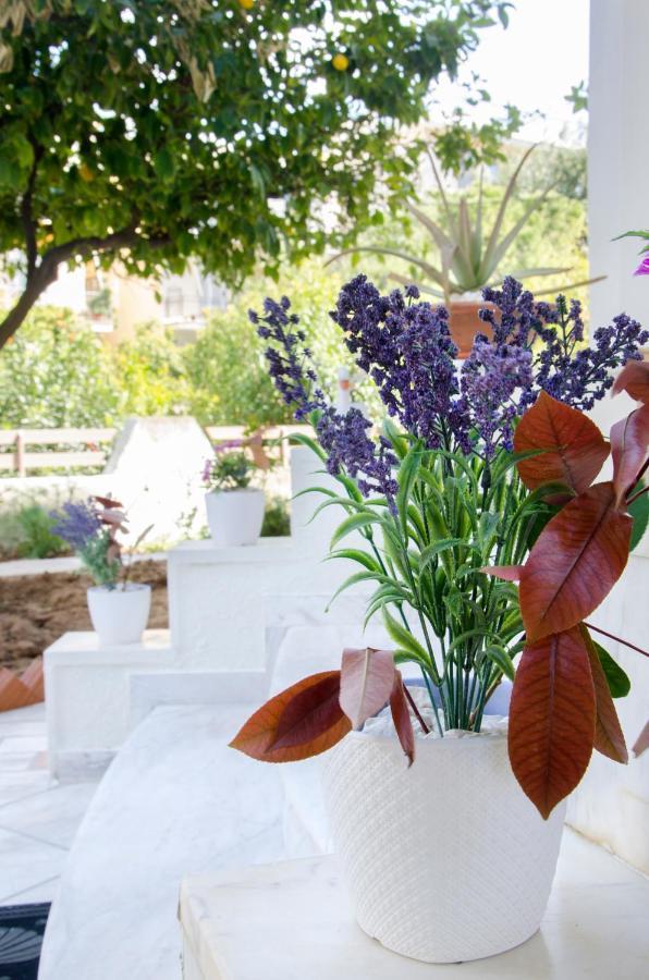 אתונה Garden House Palaio Faliro מראה חיצוני תמונה