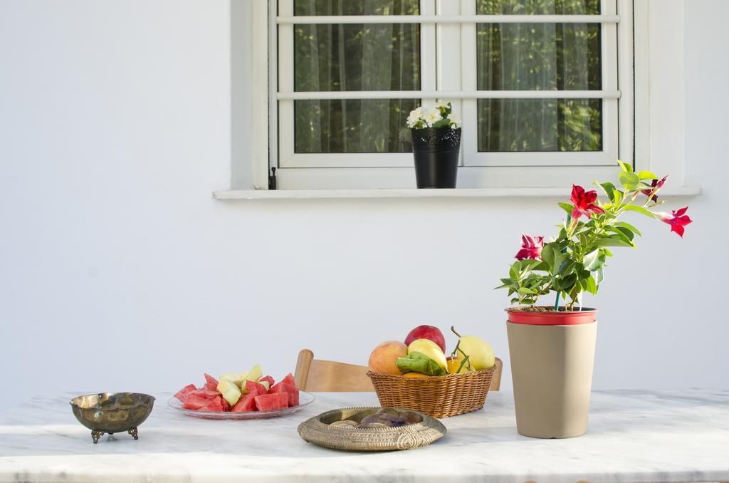 אתונה Garden House Palaio Faliro מראה חיצוני תמונה